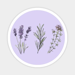 Provencal herbs Magnet